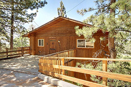 Tom's Cabin